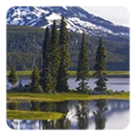 Logo of Nature Live Wallpaper android Application 